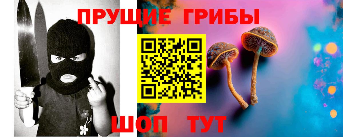Псилоцибиновые грибы Psilocybine cubensis  Вход с VPN  Оренбург 